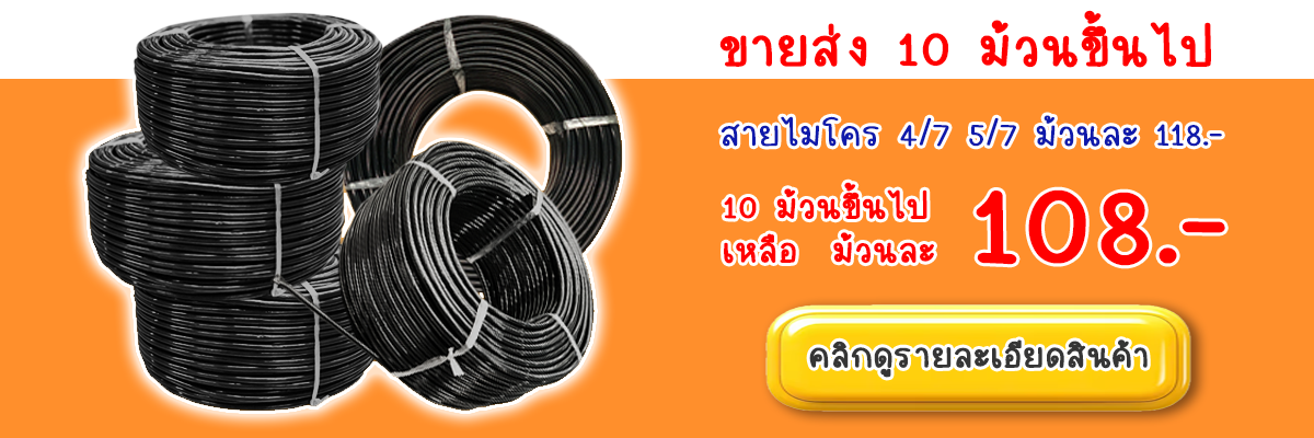 สายไมโคร